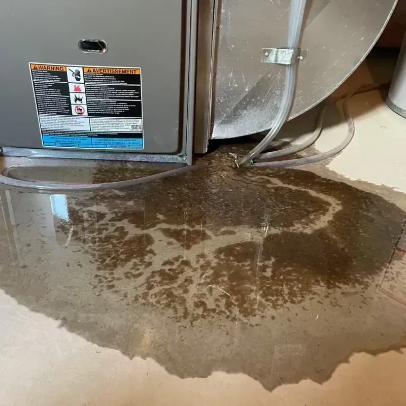 Appliance Leak Cleanup in Houston County, TX